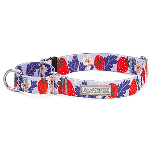 Lucky Love Dog Martingale-Halsband, hochwertig, lustiges Mädchen, rutschfeste Halsbänder, Erdbeer-Martingale, großes Hundehalsband, ideal für Whippets, Windhunde und mehr (Sweet Berry, Größe L) von Lucky Love Dog