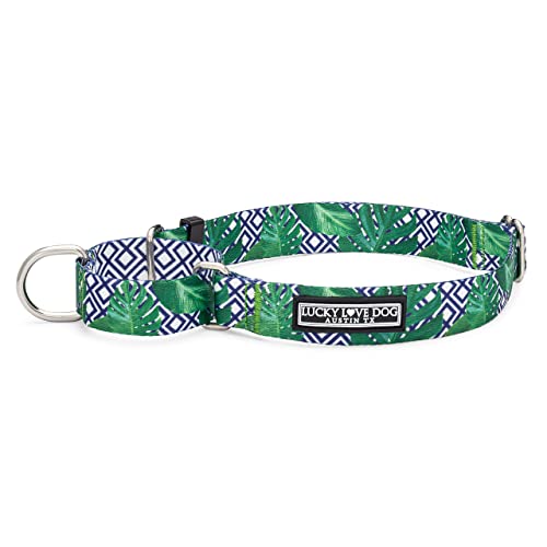 Lucky Love Dog Martingale-Halsband, hochwertig, rutschfest, Martingal-Halsband für kleine Jungen, ideal für Whippets, Windhunde und mehr (klein, blaue Laguna) von Lucky Love Dog