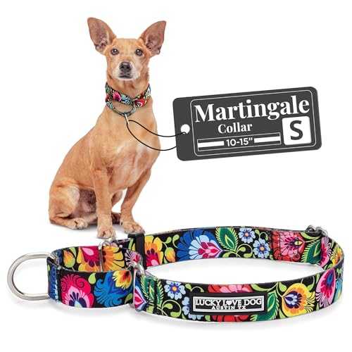 Lucky Love Dog Martingale Hundehalsband – Verstellbares, rutschfestes, strapazierfähiges und weiches Gurtband, Hundehalsband für männliche und weibliche Hunde, ideal für Training und Spaziergänge, von Lucky Love Dog