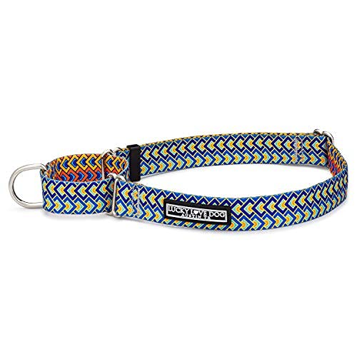 Lucky Love Dog Niedliche Hundehalsbänder für weibliche Hunde in den Größen S, M, L | Passendes Halsband mit Leine, Premium, Halsband mit Blumenmuster für Mädchen (mittelgroß, Martingale Murphy) von Lucky Love Dog