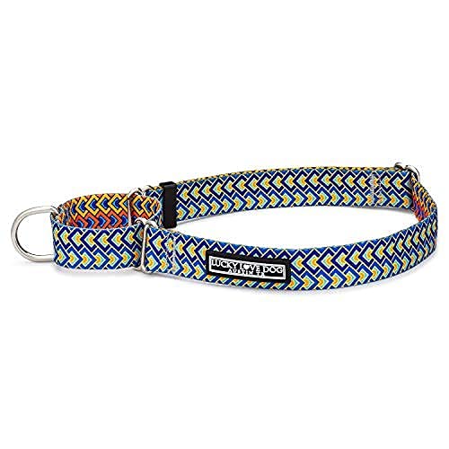 Lucky Love Dog Niedliche Hundehalsbänder für weibliche Hunde in den Größen S, M, L | Passendes Halsband mit Leine, Premium, Halsband mit Blumenmuster für Mädchen und Hunde (Large, Martingale Murphy) von Lucky Love Dog