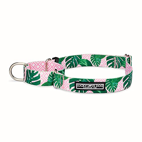 Lucky Love Dog Niedliche Hundehalsbänder für weibliche Hunde in den Größen S, M, L | passendes Halsband für Hundeleine | Premium-Halsbänder für Mädchen (Large, Martingale Laguna) von Lucky Love Dog