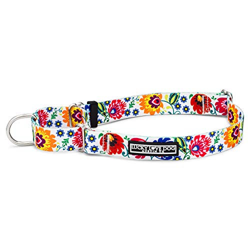 Lucky Love Dog Niedliche weibliche Hundehalsbänder in den Größen S, M, L | Passendes Halsband mit Leine, Premium, Halsband mit Blumenmuster für Mädchen (M, Marienkäfer) von Lucky Love Dog