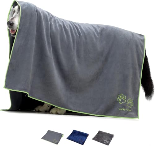 Lucky Paws® Hundehandtuch - 140x100cm Riesengröße Hundehandtuch extra saugfähig luxuriös weiches Hunde Handtuch Hundebesitzer & Hunde Zubehör (1er-Pack Riesengröße, grau) von Lucky Paws