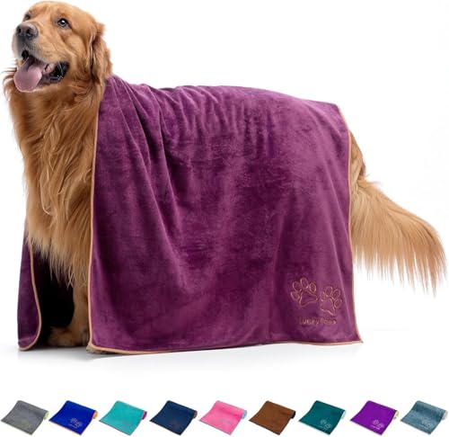 Lucky Paws® Hundehandtuch - 140x70cm XL Hundehandtuch extra saugfähig - schnell trocknend, luxuriös weiches Hunde Handtuch Hundebesitzer und Hunde Zubehör (1er-Pack, Pflaume) von Lucky Paws