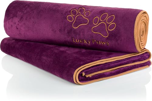 Lucky Paws® Hundehandtuch - 140x70cm XL Hundehandtuch extra saugfähig - schnell trocknend, luxuriös weiches Hunde Handtuch Hundebesitzer und Hunde Zubehör (2er-Pack, Pflaume) von Lucky Paws