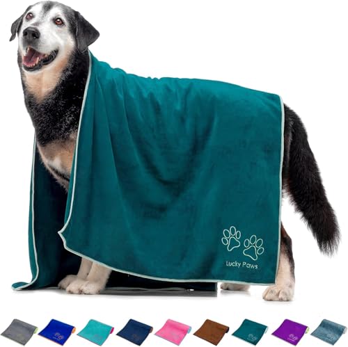 Lucky Paws® Hundehandtuch - 140x70cm XL Hundehandtuch extra saugfähig - schnell trocknend, luxuriös weiches Hunde Handtuch Hundebesitzer und Hunde Zubehör (1er-Pack, Teal) von Lucky Paws