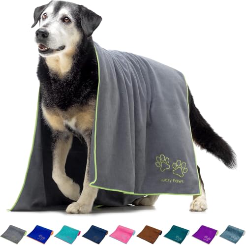 Lucky Paws® Hundehandtuch - 140x70cm XL Hundehandtuch extra saugfähig - schnell trocknend, luxuriös weiches Hunde Handtuch Hundebesitzer und Hunde Zubehör (1er-Pack, grau) von Lucky Paws