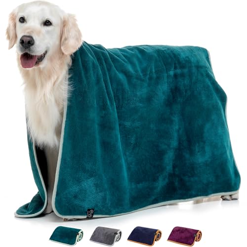 Lucky Paws® Hundehandtuch - luxuriöse 600g/m,140x80cm XL Hundehandtuch extra saugfähig - trocknet schnell, weiches Hunde Handtuch - Gute Geschenke für Hundebesitzer - Hunde Zubehör (1er-Pack, Teal) von Lucky Paws