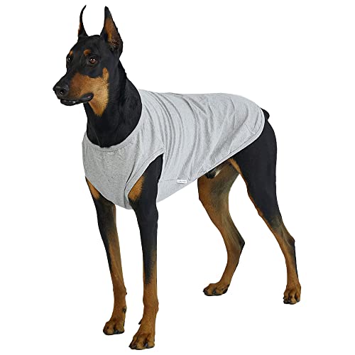 Lucky Petter Ärmelloses Hunde-Tank-Top aus Baumwolle für Hunde, einfarbig, ärmellos, T-Shirts, weich, atmungsaktiv, cooles Hunde-Shirt, Haustierkleidung (3XL, Grau) von Lucky Petter