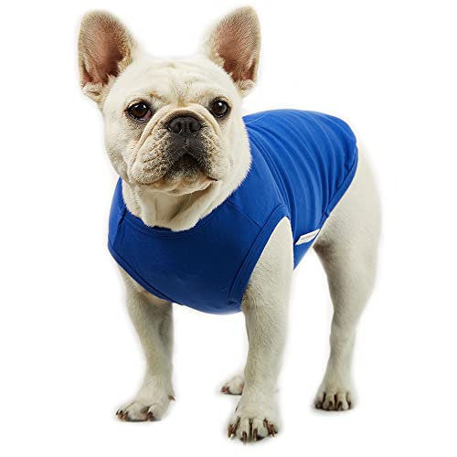 Lucky Petter Ärmelloses Hunde-Tank-Top aus Baumwolle für Hunde, einfarbig, ärmellos, T-Shirts, weich, atmungsaktiv, cooles Hunde-Shirt, Haustierkleidung (X-Large, Blau) von Lucky Petter