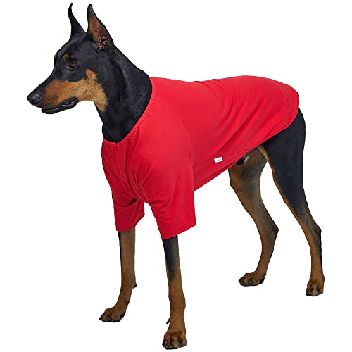 Lucky Petter Hunde-Shirt für kleine Hunde, einfarbig, weich, atmungsaktiv, Baumwolle, Größe 4XL, Rot von Lucky Petter