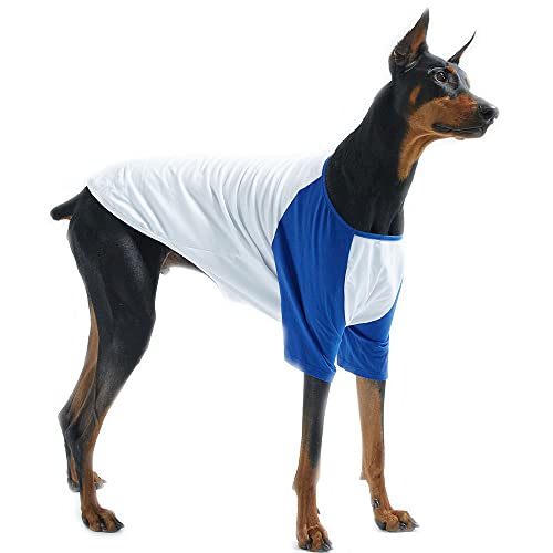 Lucky Petter Hunde-Shirts aus Baumwolle für kleine und große Hunde, Raglan-T-Shirt, weich, atmungsaktiv, Hunde-Shirt, Haustierkleidung (Größe 3XL, Weiß/Blau) von Lucky Petter