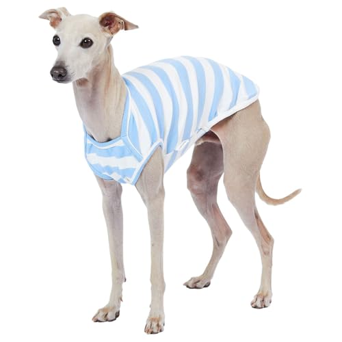 Lucky Petter Hunde-Tanktop aus Baumwolle für kleine Hunde, gestreift, ärmellos, weich, atmungsaktiv, kühles Hunde-Shirt, Haustierkleidung (2X-Large, Elfenbein/Blau) von Lucky Petter