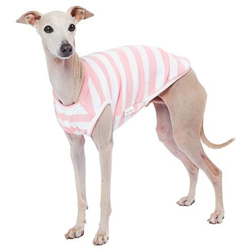 Lucky Petter Hunde-Tanktop aus Baumwolle für kleine Hunde, gestreift, ärmellos, weich, atmungsaktiv, kühles Hunde-Shirt, Haustierkleidung (2X-Large, Elfenbein/Rosa) von Lucky Petter