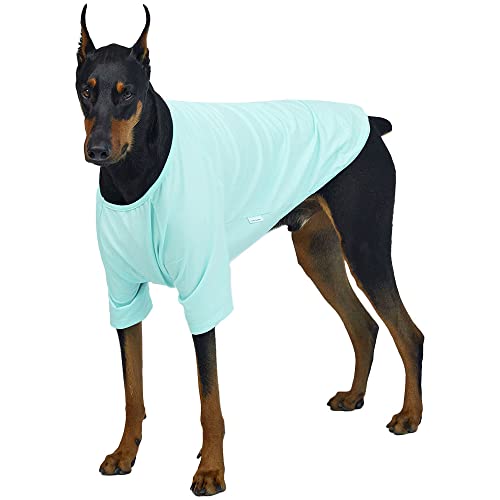 Lucky Petter Hundeshirt für kleine Hunde, einfarbig, T-Shirts, weich, atmungsaktiv, Hunde-Baumwolle, Haustierkleidung (4XL, Mint) von Lucky Petter