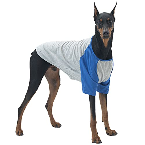 Lucky Petter Hundeshirt für kleine und große Hunde, Raglan-Baumwolle, T-Shirts, weich, atmungsaktiv, Hunde-Shirts, Haustierkleidung, Grau-Serie (2X-Large, Grau/Blau) von Lucky Petter