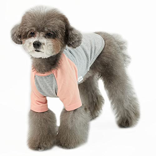 Lucky Petter Hundeshirt für kleine und große Hunde, Raglan-Baumwolle, T-Shirts, weich, atmungsaktiv, Hunde-Shirts, Haustierkleidung, Grau-Serie (groß, grau/pfirsichfarben) von Lucky Petter