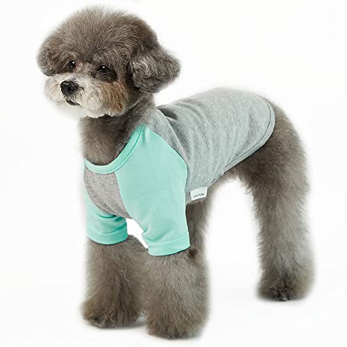 Lucky Petter Hundeshirt für kleine und große Hunde, Raglan-Baumwolle, T-Shirts, weich, atmungsaktiv, Hunde-Shirts, Haustierkleidung, Grau-Serie (klein, grau/mint) von Lucky Petter