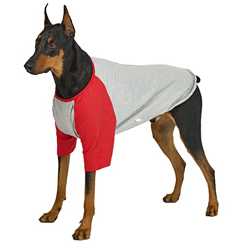 Lucky Petter Hundeshirt für kleine und große Hunde Raglan Baumwolle T-Shirts Weich Atmungsaktiv Hundeshirts Haustierkleidung Grau Serie (4X-Large, Grau/Rot) von Lucky Petter