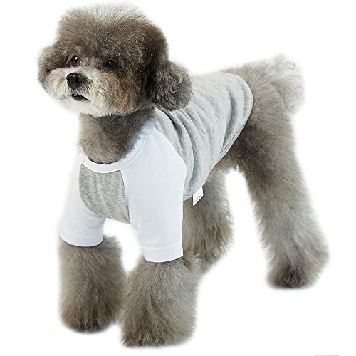 Lucky Petter Hundeshirt, Hundeanzug für kleine und große Hunde Raglan Baumwolle T-Shirts Weich Atmungsaktiv Hundeshirts Haustierkleidung Grau Serie (Klein, Grau/Weiß) von Lucky Petter