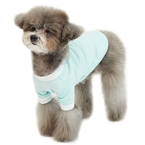 Lucky Petter Ringer Hunde-Shirt für kleine und große Hunde, Baumwolle, T-Shirts, weich, atmungsaktiv, Hunde-Shirts, Haustierkleidung (groß, mint/weiß) von Lucky Petter