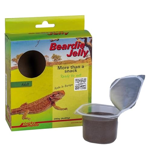 Beardie Jelly Adult von Lucky Reptile