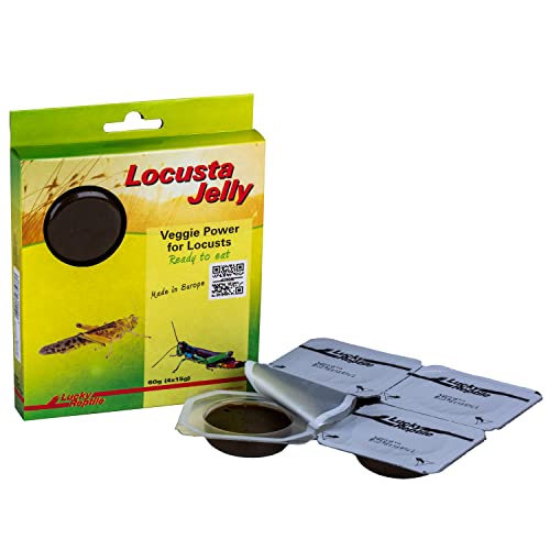 Lucky Reptile Locusta Jelly, Inhalt:4 x 15g von Lucky Reptile