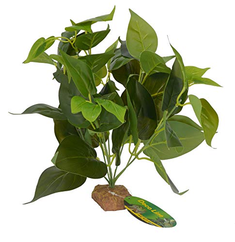 Lucky Reptile 64633 Golden Pothos auf Steinsockel, 0.136 kg von Lucky Reptile