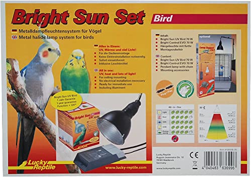 Lucky Reptile Bright Sun Set Bird - 70 W Metalldampflampen System für Vögel - Wärmelampe inklusive Fassung & Vorschaltgerät - Vogellampe mit Tageslichtspektrum - UV-Set für Vögel in schwarz von Lucky Reptile