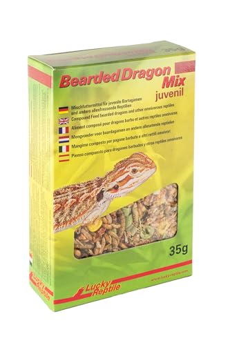 Lucky Reptile Bearded Dragon Mix Juvenil 35 g, 1er Pack (1 x 35 g) von Lucky Reptile