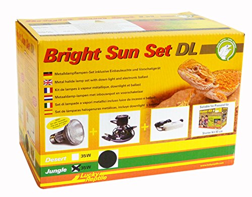 Lucky Reptile Bright Sun Set DL Jungle - 35 W Metalldampflampe inklusive Einbauleuchte & Vorschaltgerät - Reptilien Lampe mit Tageslichtspektrum - Terrarium Zubehör - UV-Set in schwarz von Lucky Reptile