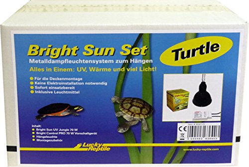 Lucky Reptile Bright Sun Set Turtle von Lucky Reptile