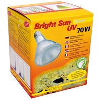 Lucky Reptile Bright Sun UV Desert 70 W von Lucky Reptile