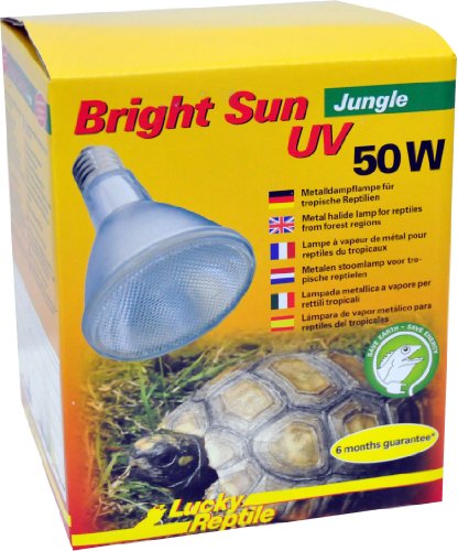 Lucky Reptile Bright Sun UV Jungle - 50 W Metalldampflampe für E27 Fassungen - Terrarium Lampe mit Tageslichtspektrum - Wärmelampe mit UVA & UVB Strahlung - UV Lampe für tropische Reptilien, 1 Stück (1er Pack) von Lucky Reptile