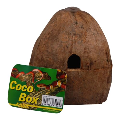 Lucky Reptile Coco Hide Box, natürliche Versteckmöglichkeit von Lucky Reptile