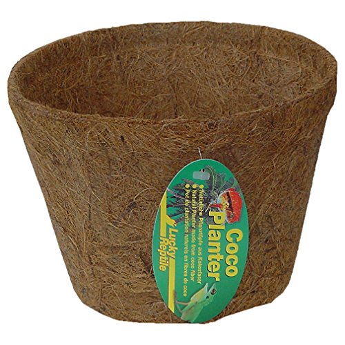 Lucky Reptile Coco Planter, groß, Pflanztopf aus Kokosfaser von Lucky Reptile