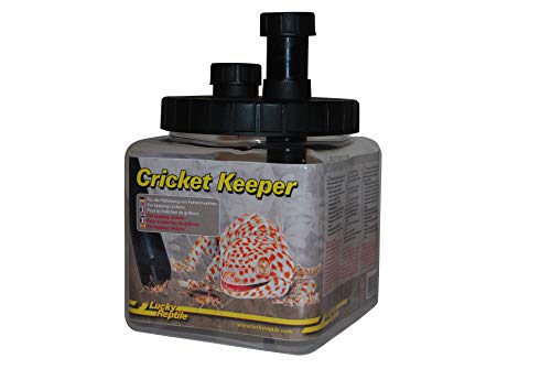 Lucky Reptile Cricket Keeper, für die Haltung von Futterinsekten, 1 Stück (1er Pack) von Lucky Reptile