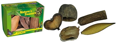 Lucky Reptile DB-01 Nature's Treasure Deko Box, Dekoration aus Naturmaterialien von Lucky Reptile