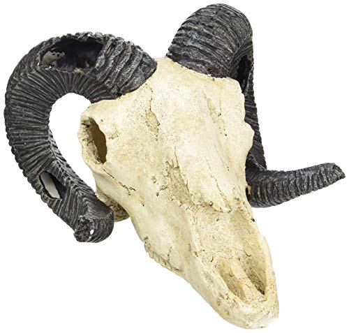 Lucky Reptile Deco Skull Ram (Widderschädel) von Lucky Reptile