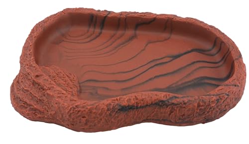 Lucky Reptile Food Dish, Farbe:Lava, Größe:Groß von Lucky Reptile