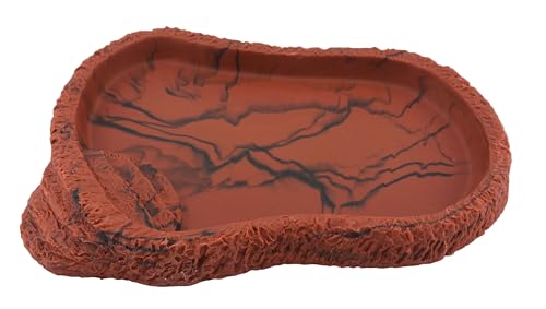 Lucky Reptile Food Dish, Farbe:Lava, Größe:Mittel von Lucky Reptile