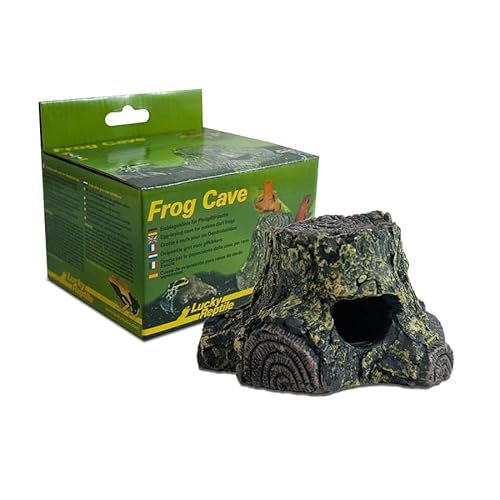 Lucky Reptile Frog Cave von Lucky Reptile