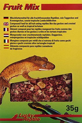 Lucky Reptile Fruit Mix 35 g, Futtermittel für alle fruchtfressende Reptilien, Taggeckos, Kronengeckos, sowie tropische Landschildkröten von Lucky Reptile