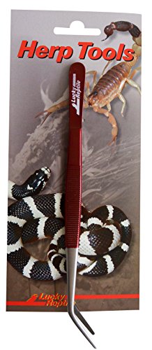 Lucky Reptile Futterpinzette, abgewinkelt, Länge:20 cm von Lucky Reptile