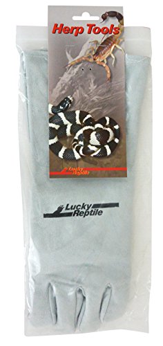 Lucky Reptile GL-L Schutzhandschuh grau "Linkshänder" von Lucky Reptile