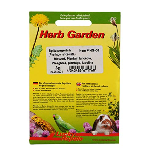 Lucky Reptile HG-06 Herb Garden - Spitzwegerich, 3 g von Lucky Reptile