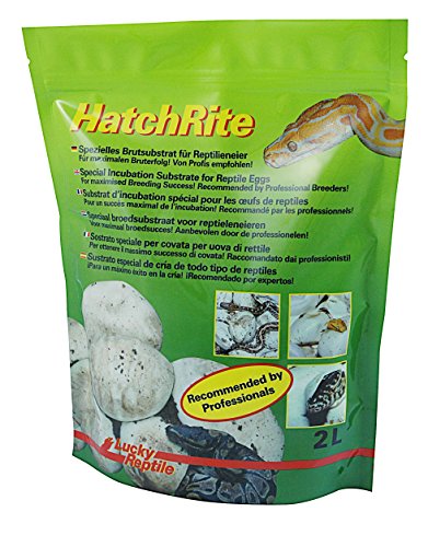 Lucky Reptile HatchRite von Lucky Reptile