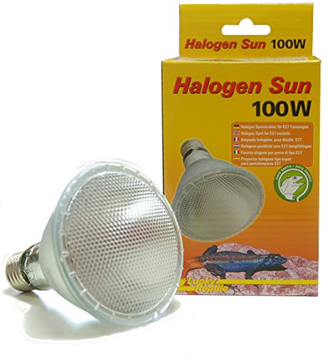 Lucky Reptile Halogen Sun-100 W Wärmestrahler für E27-Fassungen-Halogenstrahler für Reptilien-Terrarium Lampe mit Tageslichtspektrum-Wärmelampe dimmbar-Zubehör Terrarium 63403, Mindestabstand: >50cm von Lucky Reptile