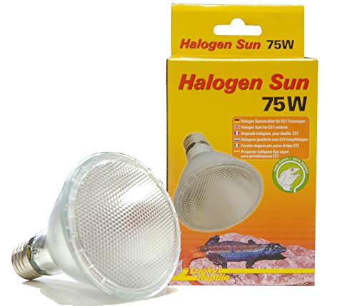 Lucky Reptile Halogen Sun - 75 W Wärmestrahler für E27-Fassungen - Halogenstrahler für Reptilien - Terrarium Lampe mit Tageslichtspektrum - Wärmelampe dimmbar - Zubehör Terrarium 63402 von Lucky Reptile